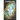 Cosmic Quest