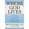 Where God Lives: The Science of the Paranormal and How Our Brains Are Linked to the Universe