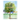 Leaf: a true life story for children
