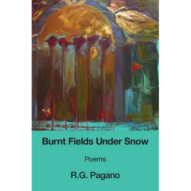 Burnt Fields Under Snow