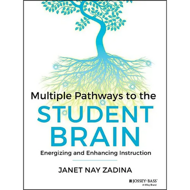 Multiple Pathways to the Student Brain