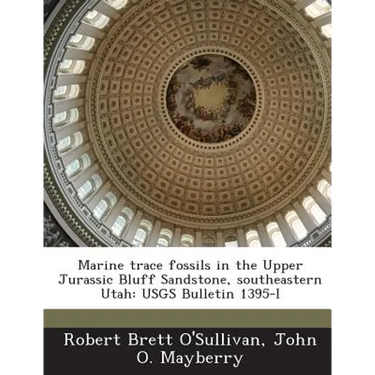 Marine trace fossils in the Upper Jurassic Bluff Sandstone, southeastern Utah: USGS Bulletin 1395-I