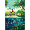 Wonders of Shadow Key