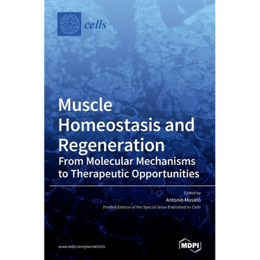 Muscle Homeostasis and Regeneration: From Molecular Mechanisms to Therapeutic Opportunities