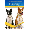 Basenji