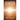 The Center: Book Two - Recovery