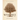 Wishtree (Special Edition): Adult Edition