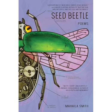 Seed Beetle