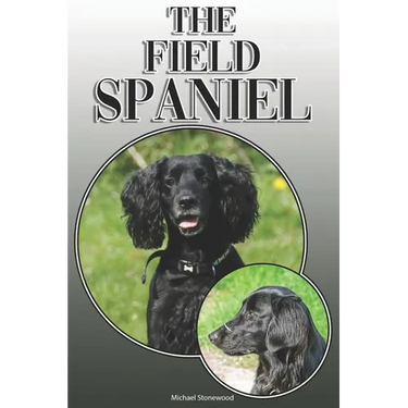 The Field Spaniel: A Complete and Comprehensive Owners Guide To: Buying, Owning, Health, Grooming, Training, Obedience, Understanding and
