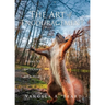The Art of Encouragement: Poems to encourage your heart