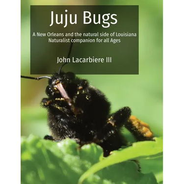 Juju Bugs: A New Orleans and the natural side of Louisiana Naturalist companion for all Ages