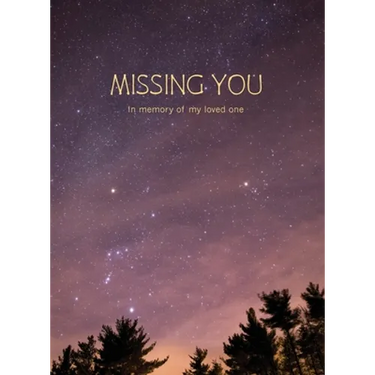 Missing You