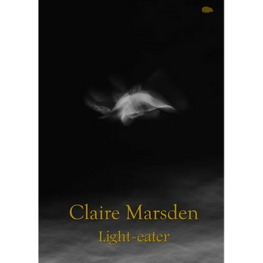 Light-eater