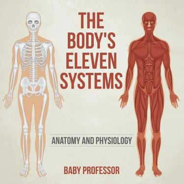 The Body's Eleven Systems Anatomy and Physiology