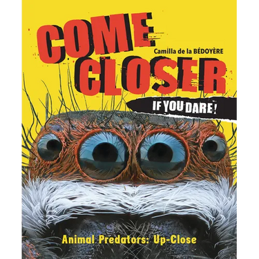 Come Closer If You Dare!: Animal Predators Up Close