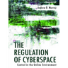 The Regulation of Cyberspace: Control in the Online Environment