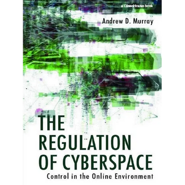 The Regulation of Cyberspace: Control in the Online Environment