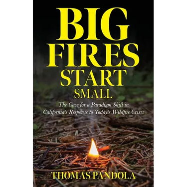 Big Fires Start Small: The Case for a Paradigm Shift in California's Response to Today's Wildfire Crisis