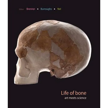 Life of Bone: Art Meets Science