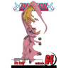 Bleach, Vol. 64: Death in Vision