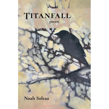 Titanfall