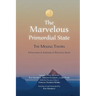 The Marvelous Primordial State
