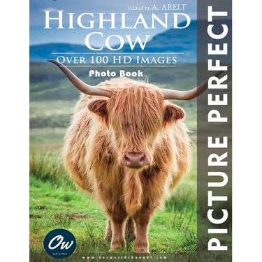 Highland Cow: Picture Perfect Photo Book