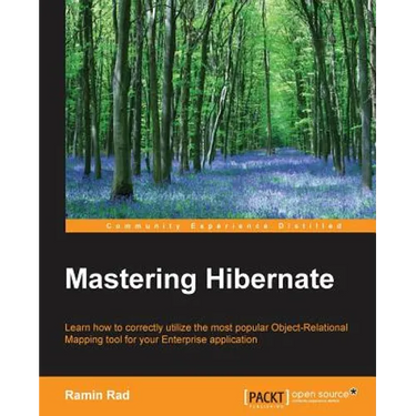 Mastering Hibernate