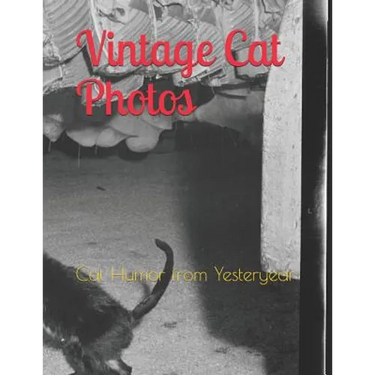 Vintage Cat Photos: Cat Humor from Yesteryear