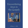 Encountering Jesus in the Gospels