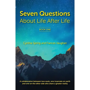 7 Questions About Life After Life: A Collaboration between Two Souls, One Incarnate on Earth, and One on the Other Side Who Share a Greater Reality