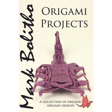 Origami Projects: A collection of original origami designs