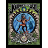 Journey of the Owl