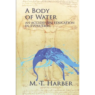 A Body of Water