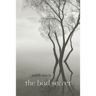 Bad Secret: Poems