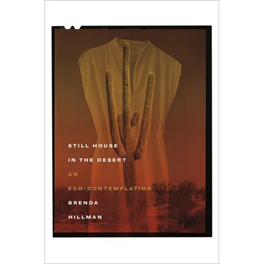 Still House in the Desert: An Eco-Contemplation
