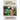 Gardening When It Counts: Guide To The Processes Of Irrigation In Your Area: Gardening Books