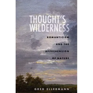 Thought's Wilderness: Romanticism and the Apprehension of Nature