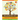 Branching Out: Genealogy for 4th-8th Grade