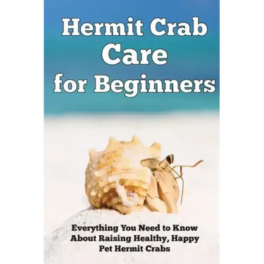 Hermit Crab Care for Beginners: Everything You Need to Know About Raising Healthy, Happy Pet Hermit Crabs.