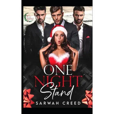 One Night Stand: A Christmas Reverse Harem Romance