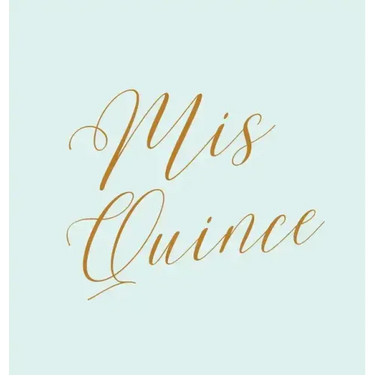 Mis Quince guest book, Quinceañera guest book, Mis Quince Anos Guest book, birthday party guest book to sign