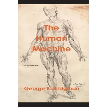 The Human Machine