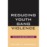 Reducing Youth Gang Violence: The Little Village Gang Project in Chicago
