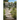 Broken Walk: Searching For Wisdom