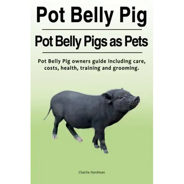 Pot Belly Pig. Pot Belly Pigs as Pets. Pot Belly Pig owners guide including care, costs, health, training and grooming.