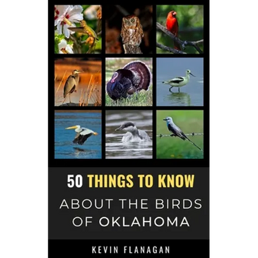 50 Things to Know About Birds in Oklahoma: Birding in the Oklahoma