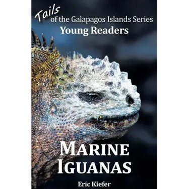 Marine Iguanas - Tails of the Galapagos Islands Series