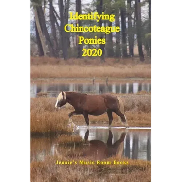 Identifying Chincoteague Ponies 2020