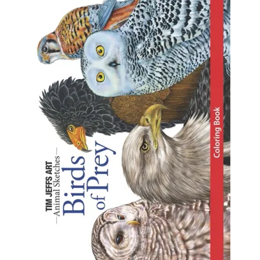 Birds of Prey Coloring Book